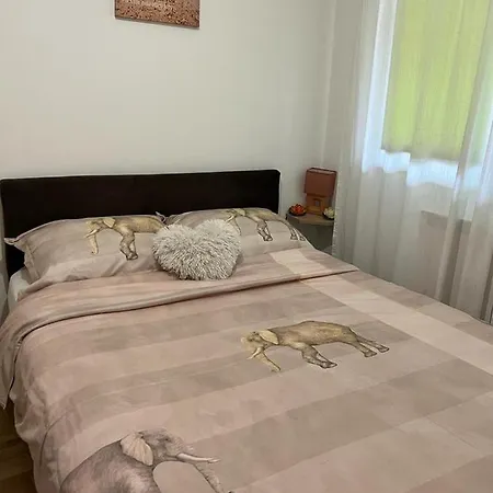 Apartment Manja *